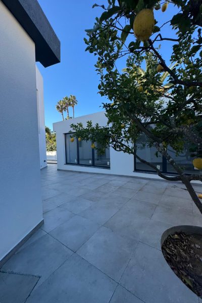 Imagem WhatsApp 2025-02-13 às 11.03.07_0477d0e1